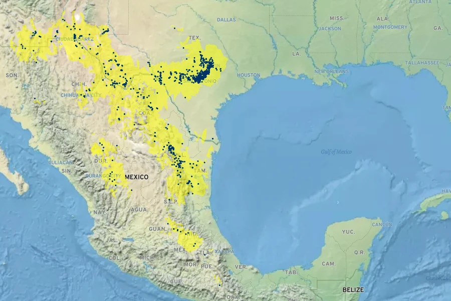 Senna lindheimeriana Native Range