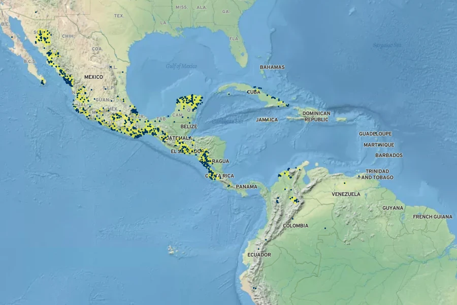 Senna pallida Native Range