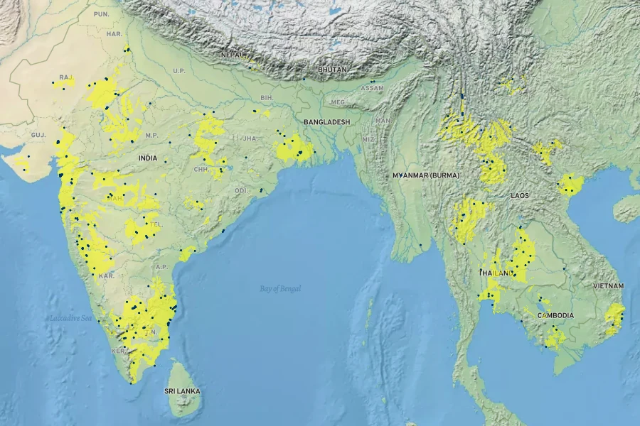 Senna siamea Native Range