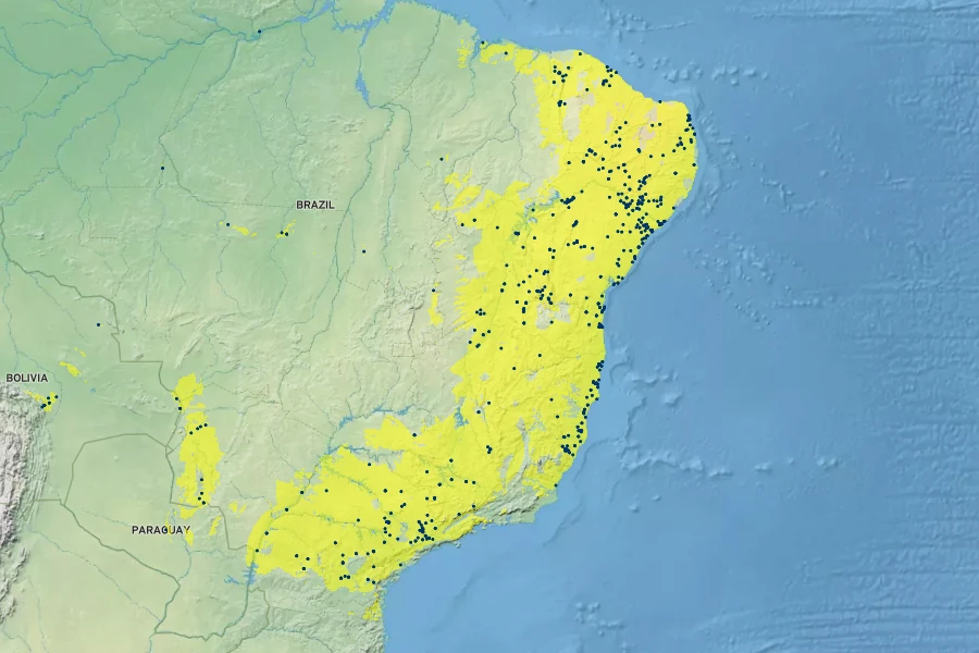 Senna splendida Native Range