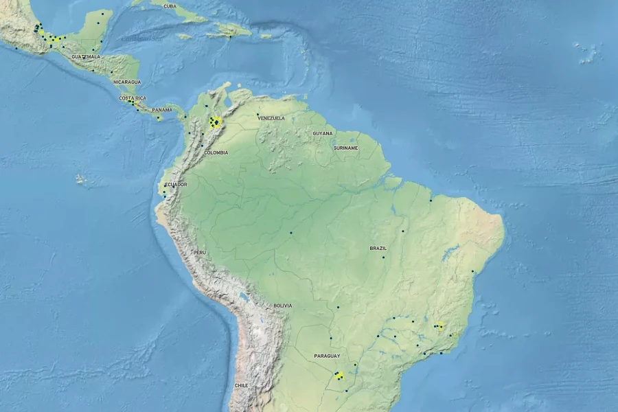 Senna tora Native Range