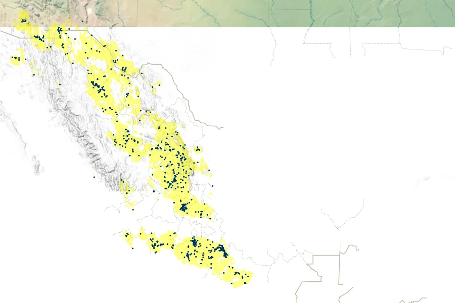 Senna wislizeni Native Range
