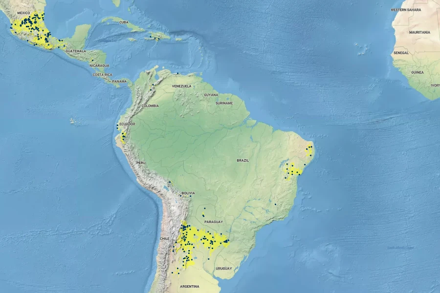 Setaria macrostachya Native Range