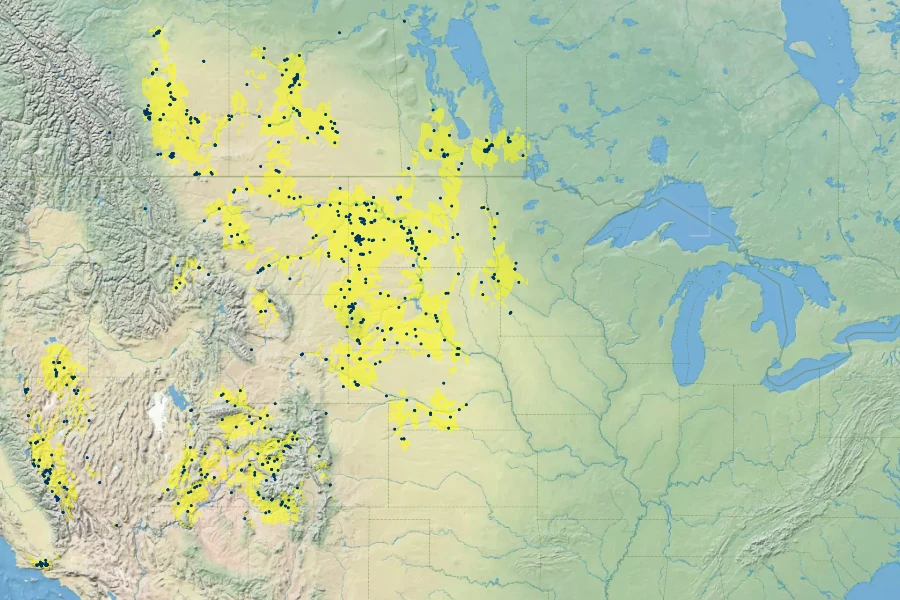 Shepherdia argentea Native Range