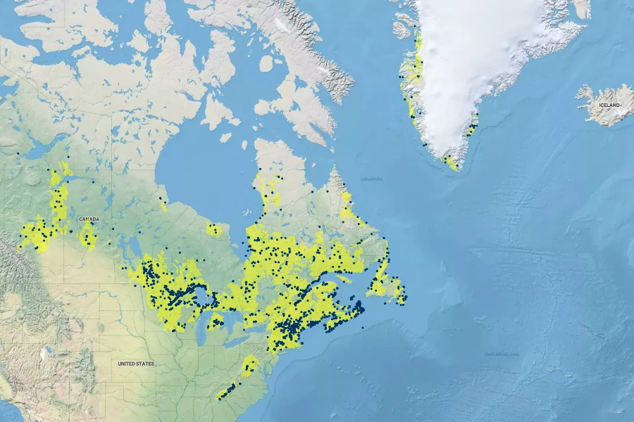 Sibbaldia tridentata Native Range