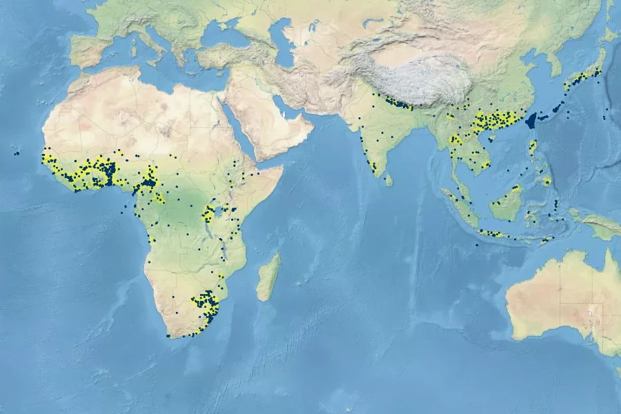 Sida rhombifolia Native Range