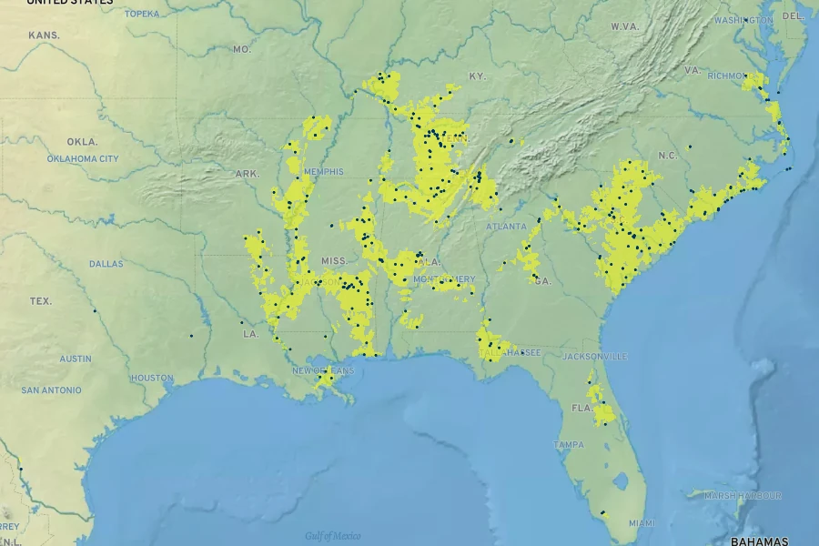 Sideroxylon lycioides Native Range