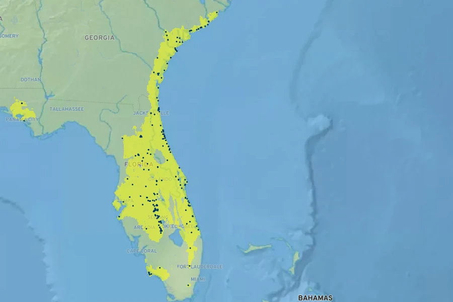 Sideroxylon tenax Native Range