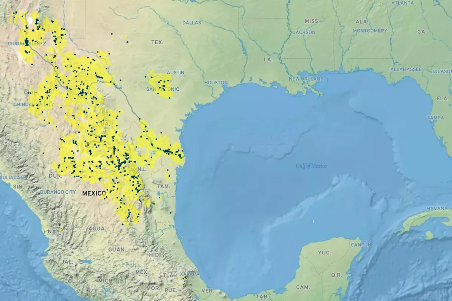 Sidneya tenuifolia Native Range