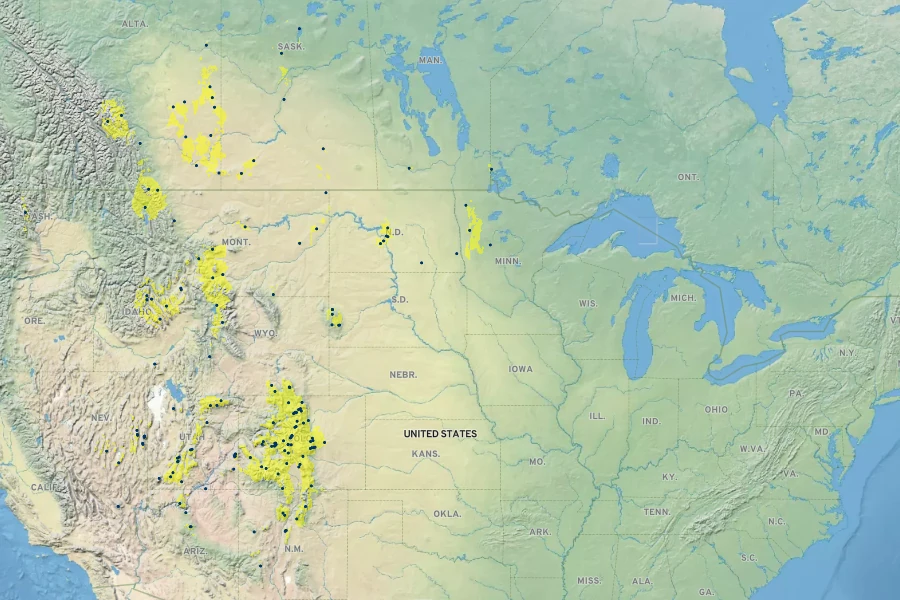 Silene drummondii Native Range