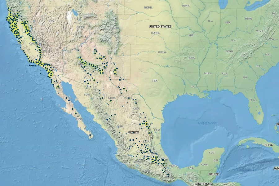 Silene laciniata Native Range