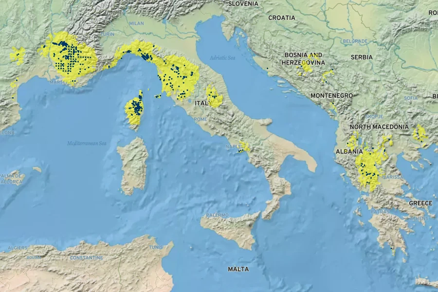 Silene paradoxa Native Range