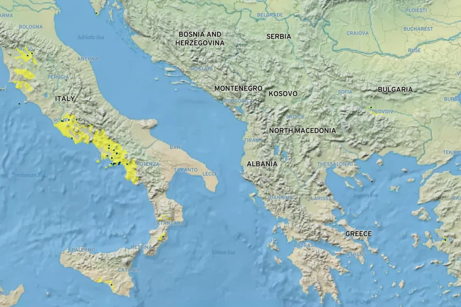 Silene pendula Native Range