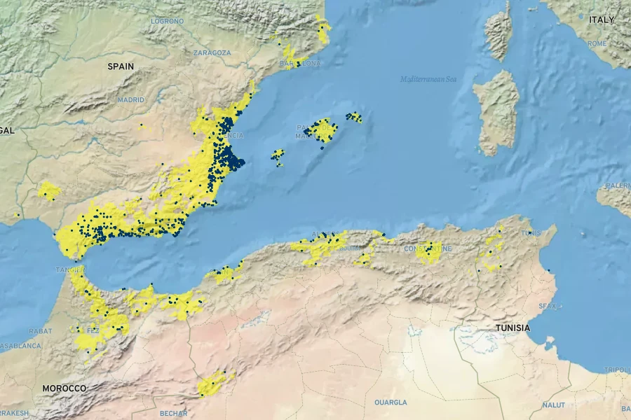 Silene secundiflora Native Range