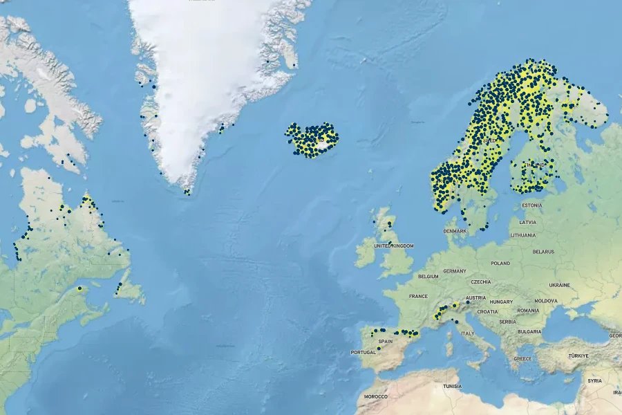 Silene suecica Native Range