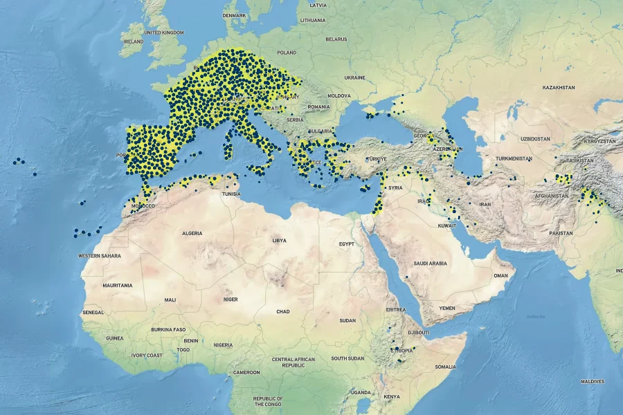 Silybum marianum Native Range