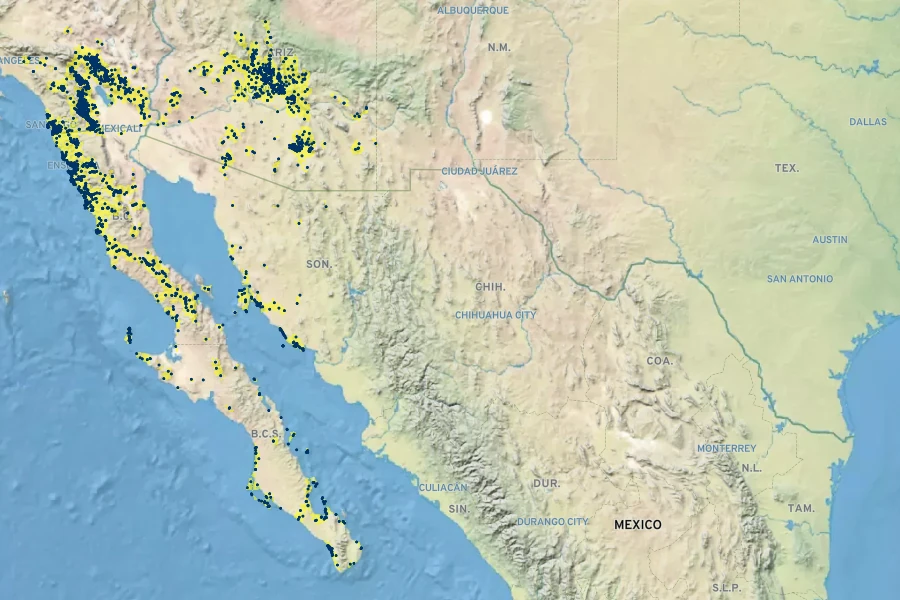 Simmondsia chinensis Native Range