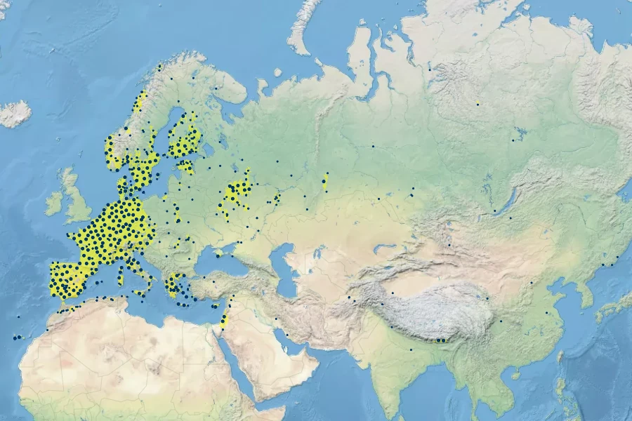 Sinapis alba Native Range