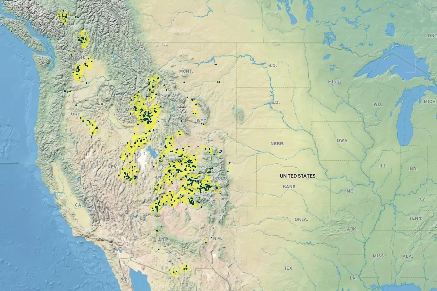 Sisymbrium linifolium Native Range