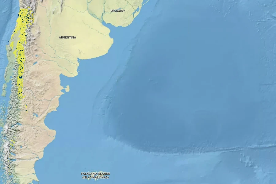 Sisyrinchium arenarium Native Range