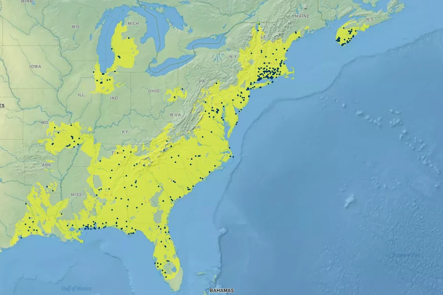 Sisyrinchium atlanticum Native Range