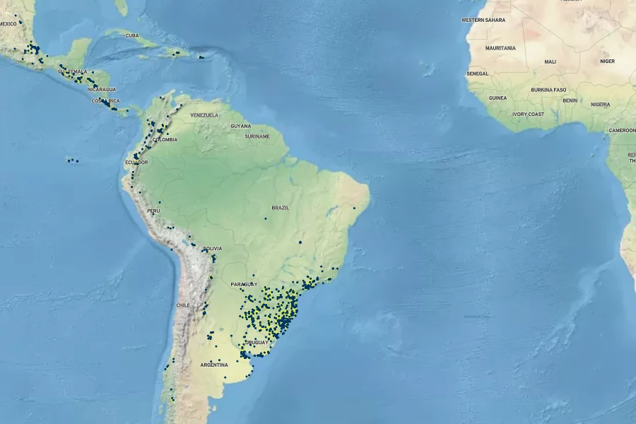 Sisyrinchium micranthum Native Range