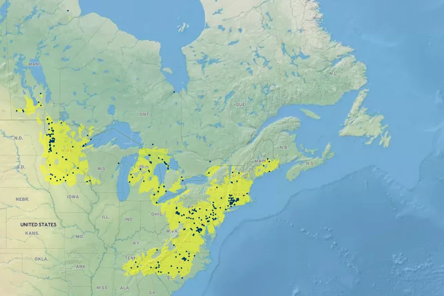 Sisyrinchium mucronatum Native Range