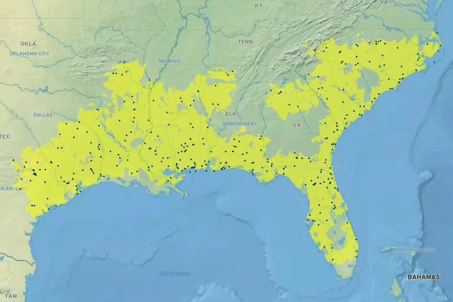Sisyrinchium rosulatum Native Range
