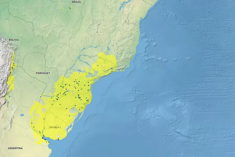 Smallanthus connatus Native Range