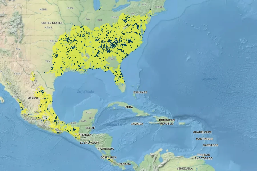 Smallanthus uvedalia Native Range