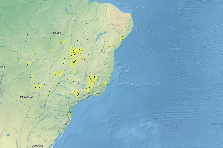 Smilax brasiliensis Native Range
