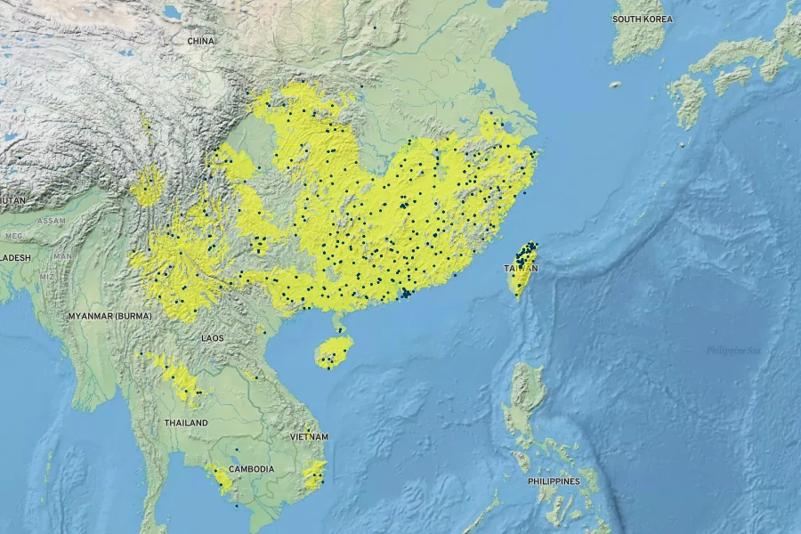 Smilax glabra Native Range