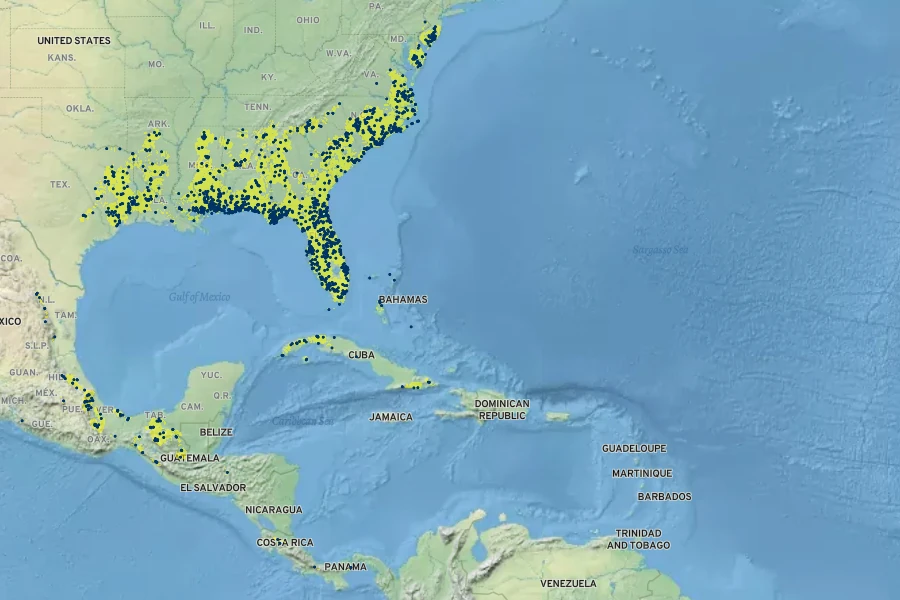 Smilax laurifolia Native Range