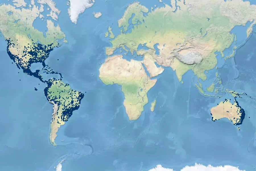 Solanum americanum Native Range