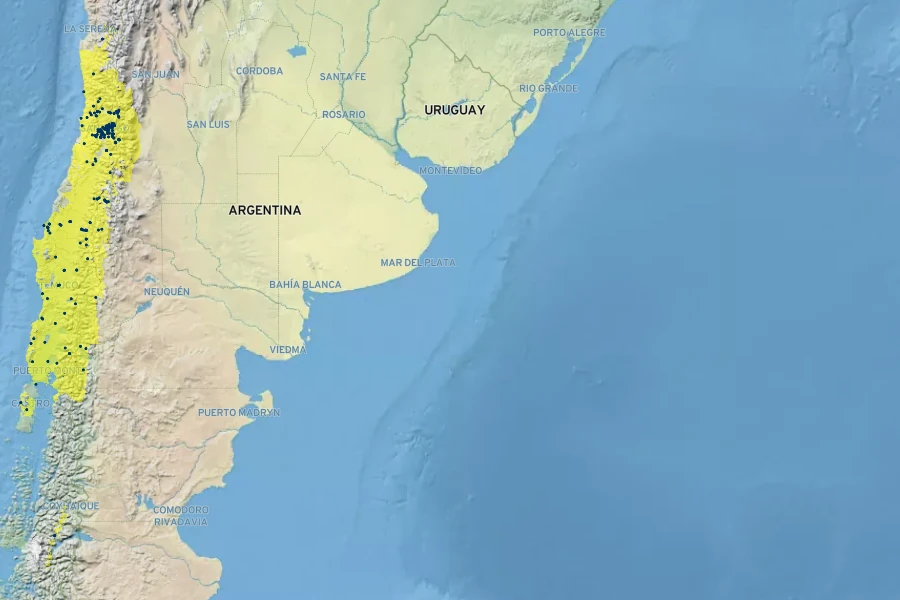 Solanum crispum Native Range