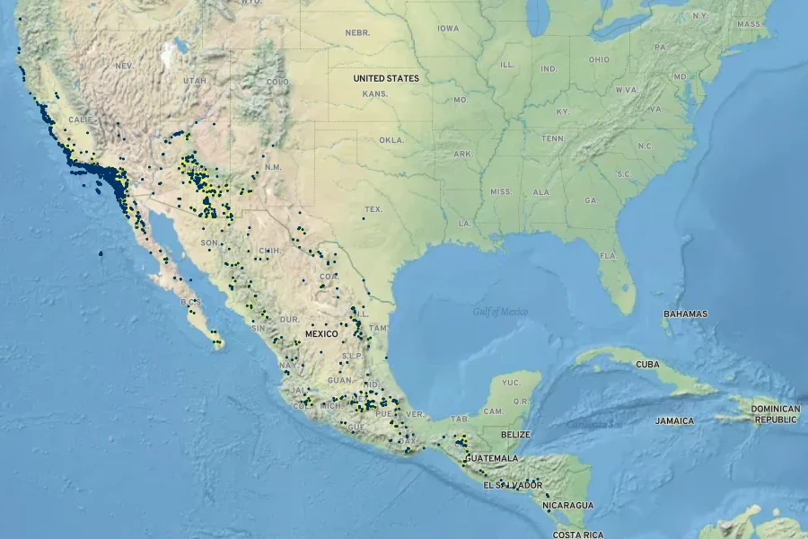 Solanum douglasii Native Range
