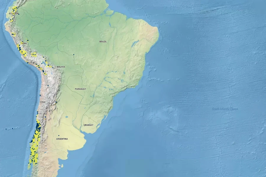 Solanum furcatum Native Range