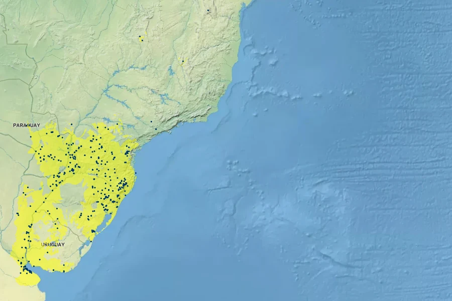 Solanum laxum Native Range