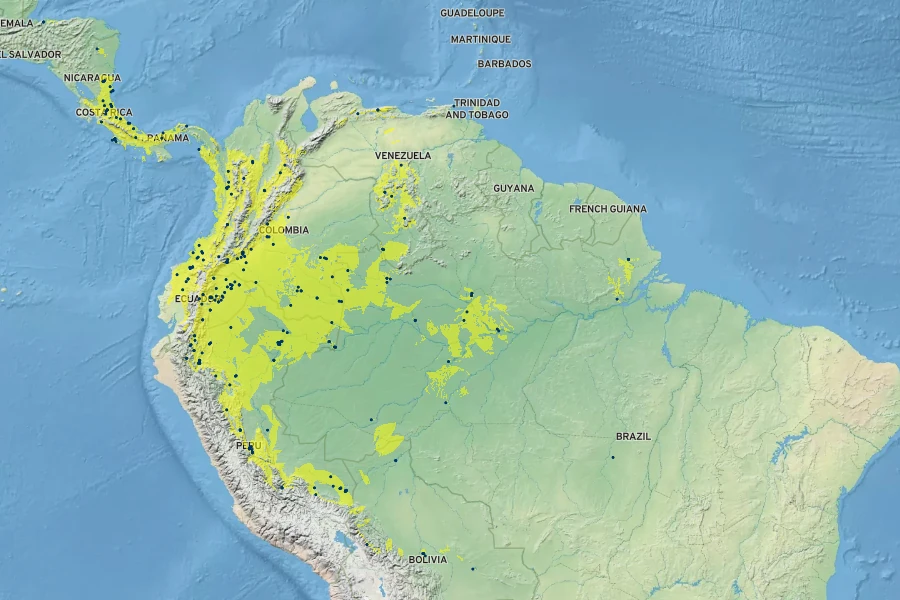 Solanum sessiliflorum Native Range