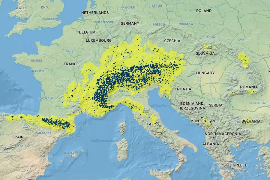 Soldanella alpina Native Range