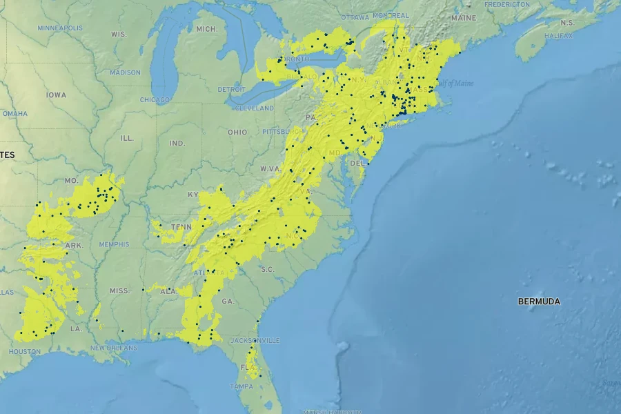 Solidago arguta Native Range