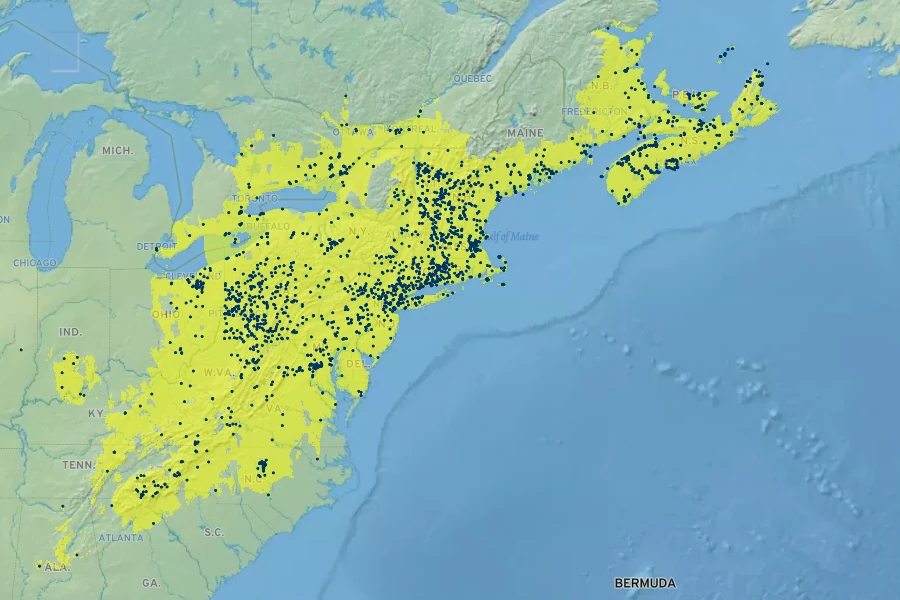 Solidago bicolor Native Range