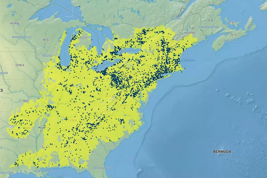 Solidago caesia Native Range