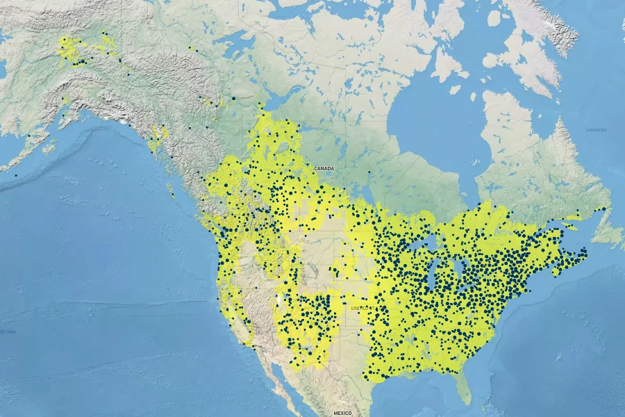 Solidago canadensis Native Range
