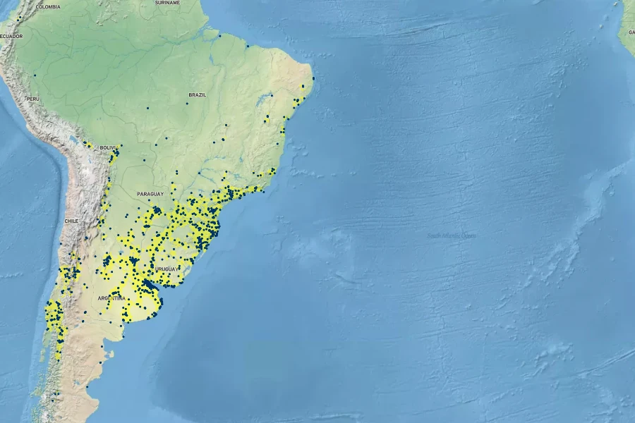 Solidago chilensis Native Range