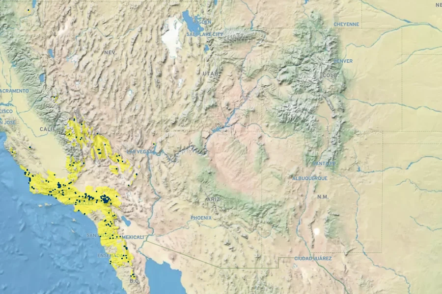 Solidago confinis Native Range
