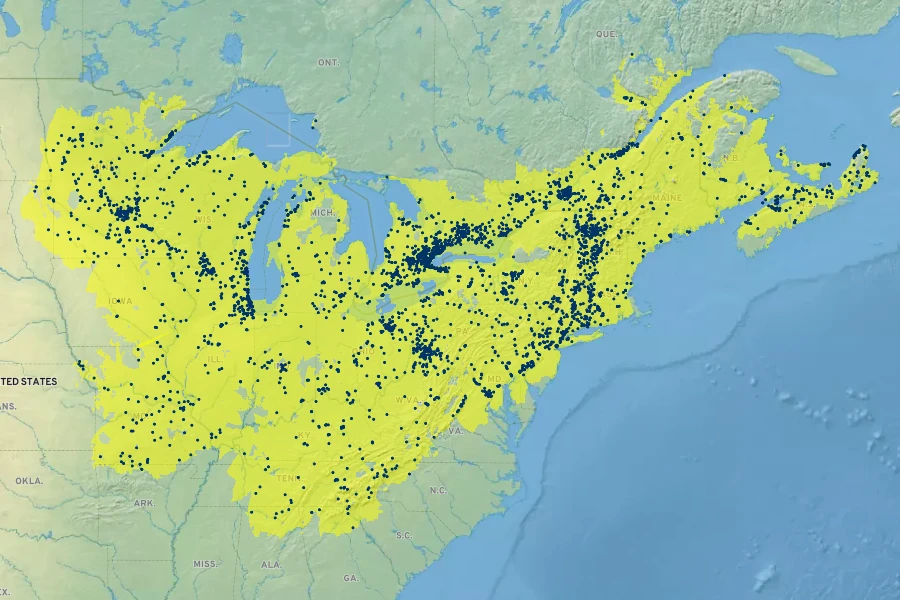Solidago flexicaulis Native Range