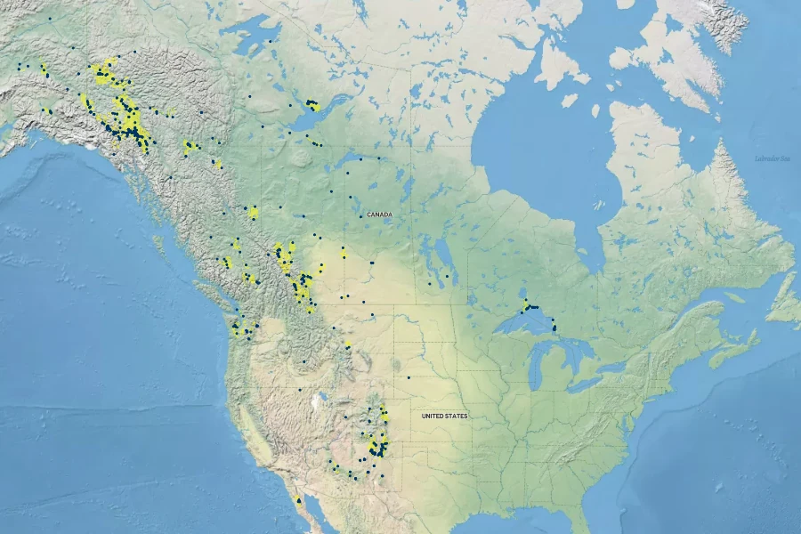 Solidago glutinosa Native Range