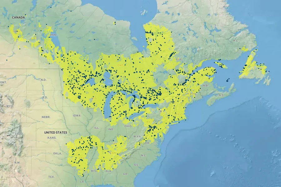 Solidago hispida Native Range
