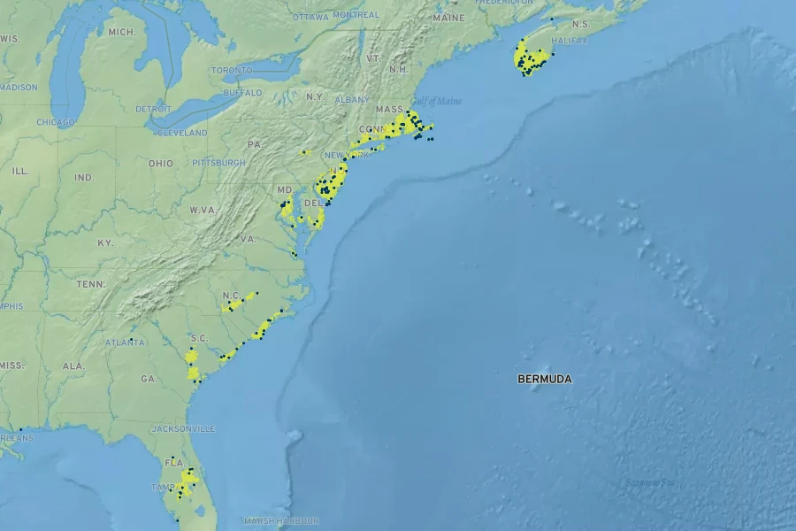 Solidago latissimifolia Native Range
